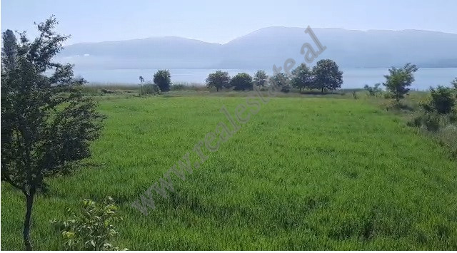 Land for sale in the village of Hudenisht in Pogradec.
It has a surface of 2700 m2 and has the stat